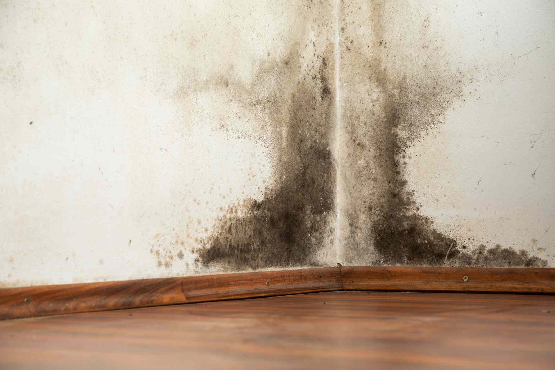 MoldResistant Drywall Pros and Cons