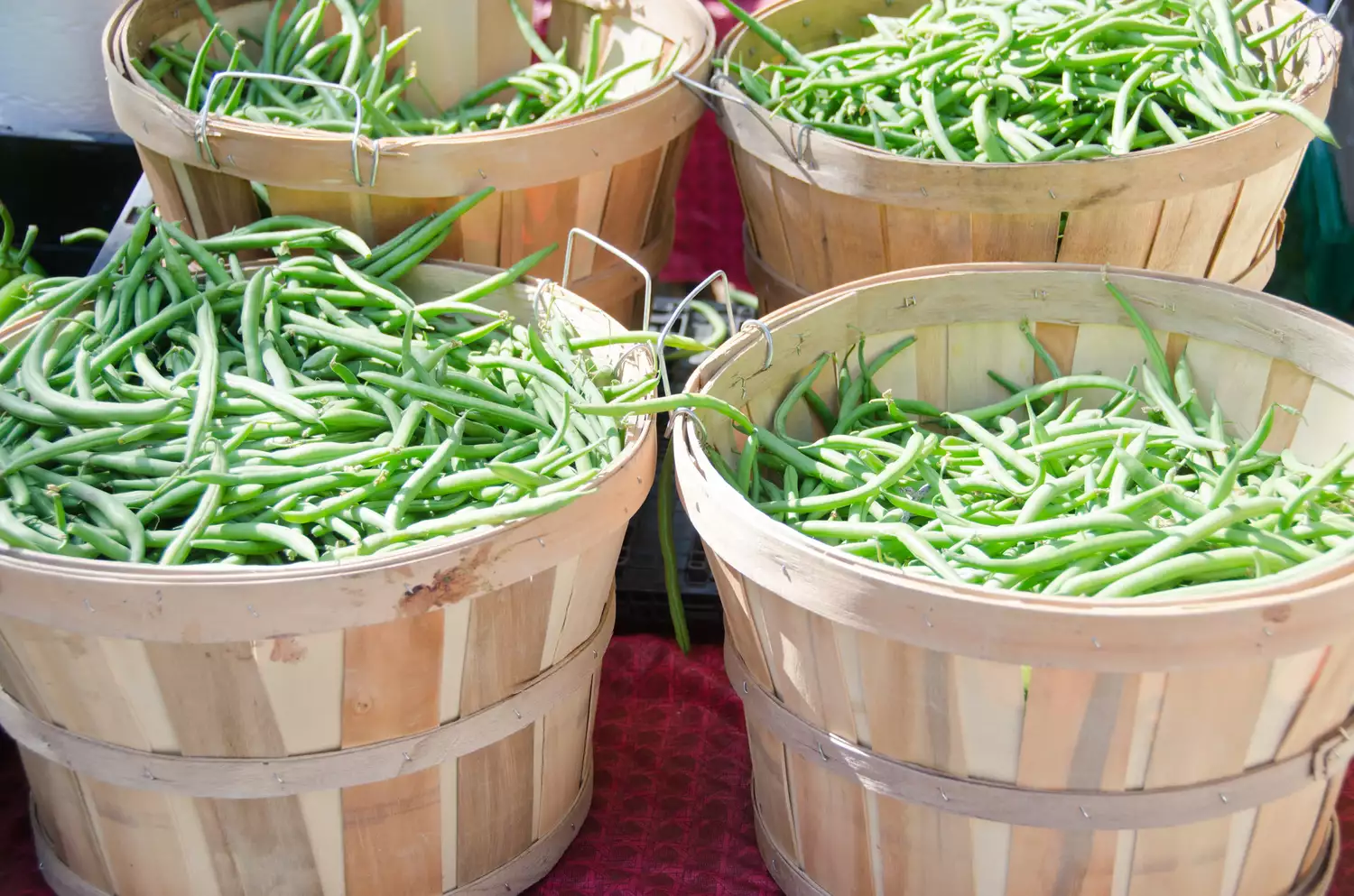 Fresh Summer Green Beans