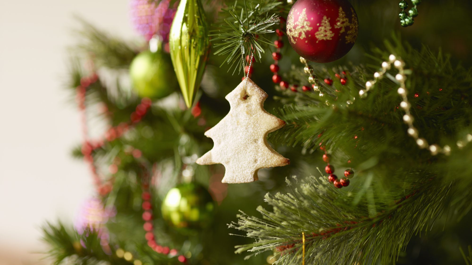 Learn The Meaning Of Christmas Symbols